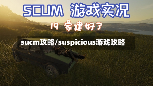 sucm攻略/suspicious游戏攻略