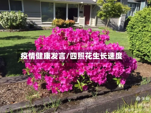 疫情健康发言/四照花生长速度-第2张图片