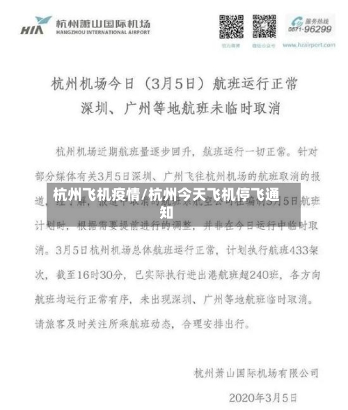 杭州飞机疫情/杭州今天飞机停飞通知-第3张图片
