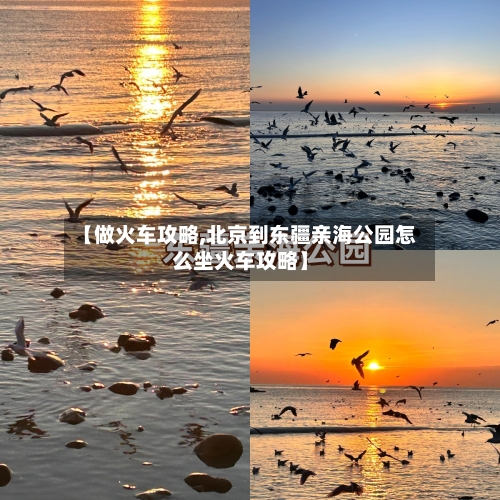 【做火车攻略,北京到东疆亲海公园怎么坐火车攻略】