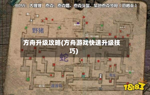 方舟升级攻略(方舟游戏快速升级技巧)