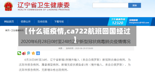 【什么驱疫情,ca722航班回国经过】-第3张图片