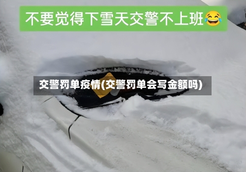 交警罚单疫情(交警罚单会写金额吗)-第2张图片