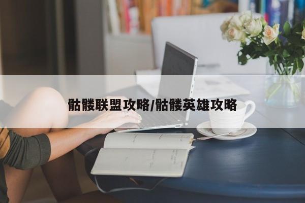 骷髅联盟攻略/骷髅英雄攻略