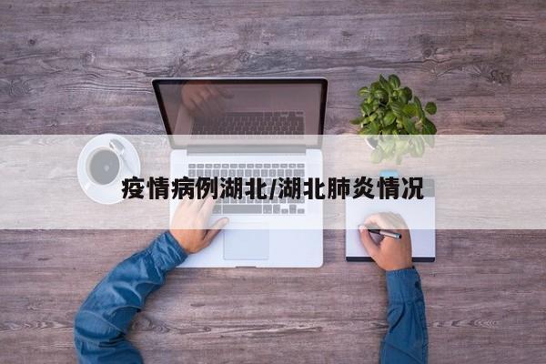 疫情病例湖北/湖北肺炎情况