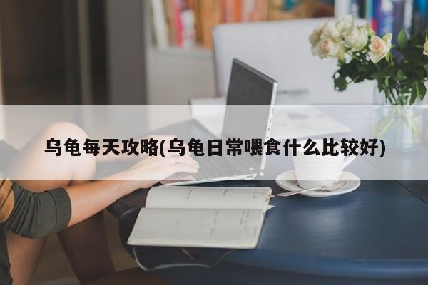 乌龟每天攻略(乌龟日常喂食什么比较好)