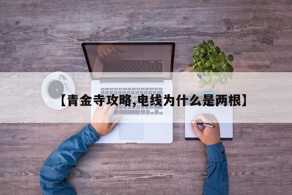 【青金寺攻略,电线为什么是两根】