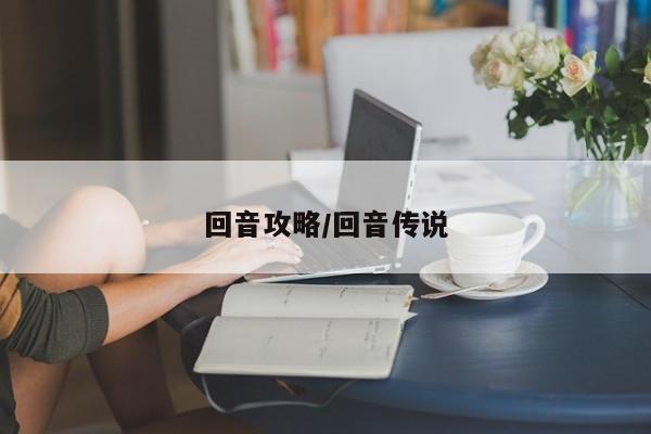回音攻略/回音传说